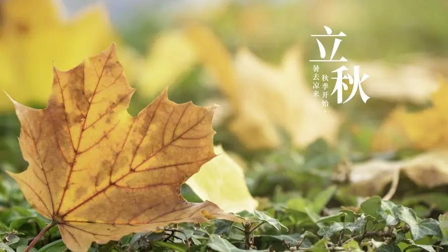 2024新奥门资料大全